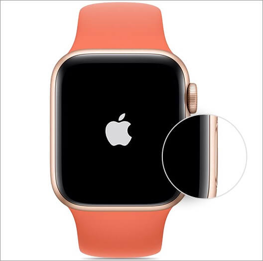 press and hold side button to switch on apple watch