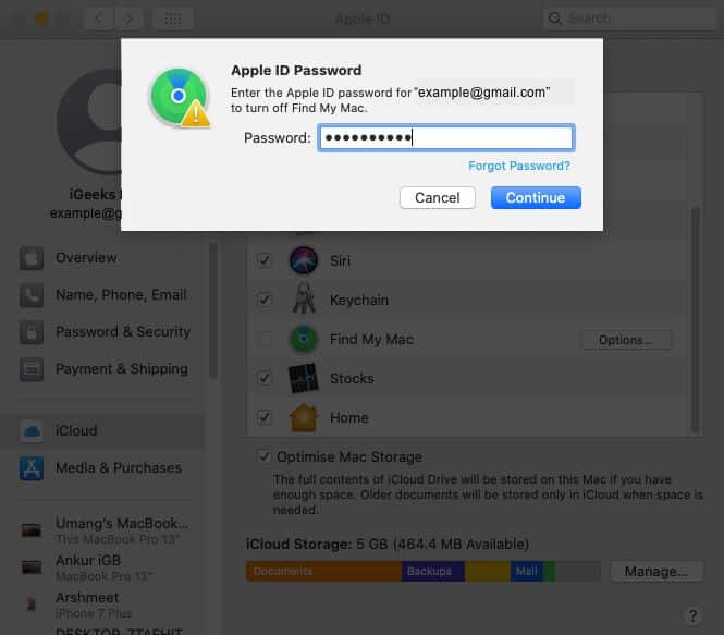 Type Apple ID Password and Click on Continue