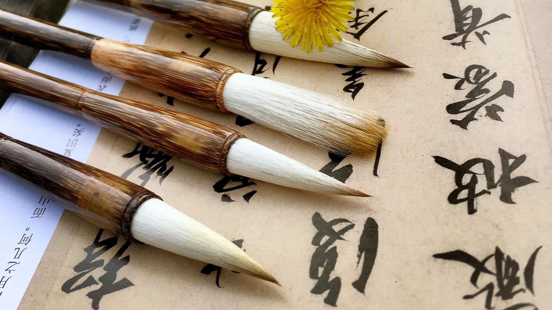 Best calligraphy apps for iphone and ipad