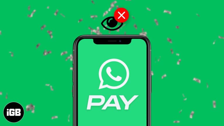 WhatsApp Payment Option Not Showing? How To Get It