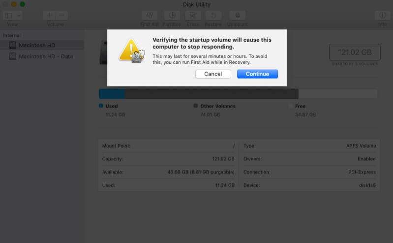 Click on Continue in Disk Utility on Mac