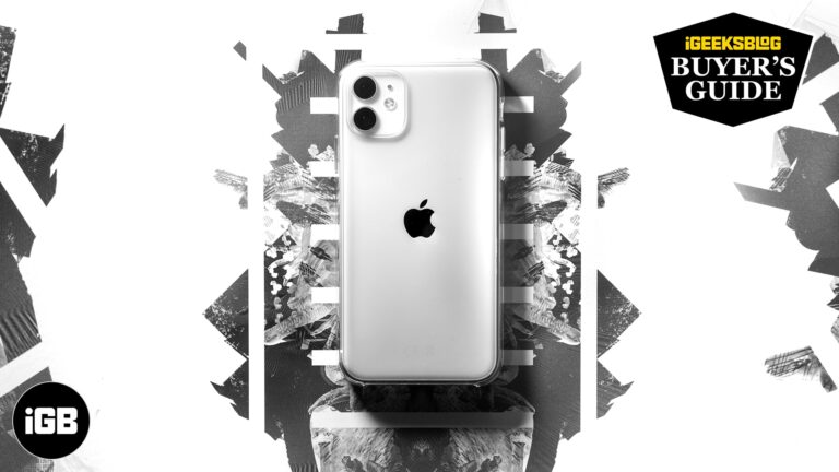 Best cheapest cases for iPhone 11 in 2024