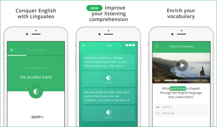 English with Lingualeo Grammar iPhone and iPad App Screenshot