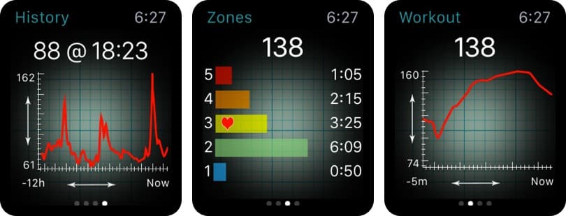 Heart Graph Apple Watch App Screenshot