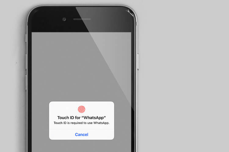WhatsApp App Support Touch ID and Face ID