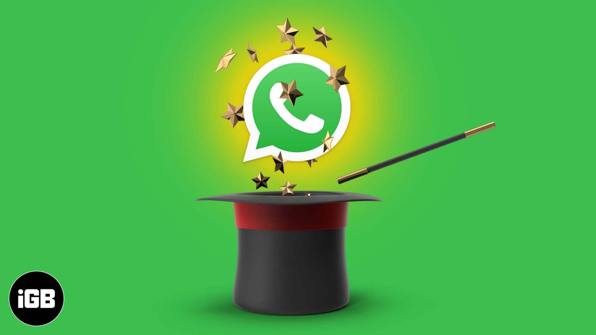 Whatsapp tips and tricks for iphone