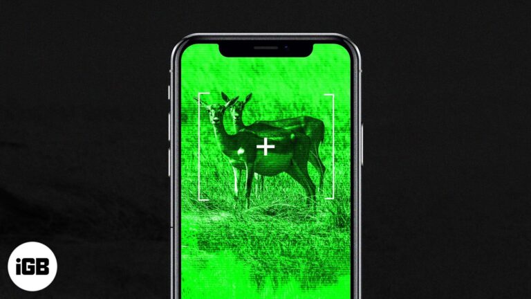 Best night vision apps for iphone and ipad