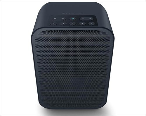 bluesound pulse flex 2i airplay 2 supported speaker