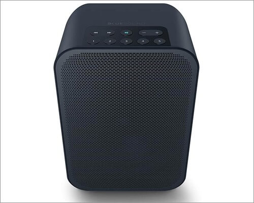 Bluesound pulse flex 2i airplay 2 supported speaker bluesound pulse flex 2i airplay 2 supported speaker