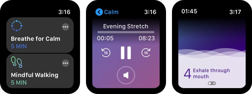 Calm Apple Watch App Screenshot