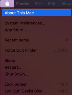 What is Other on Mac Storage and How to Delete It  - 87