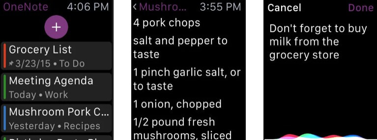 OneNote Apple Watch Notes App Screenshot