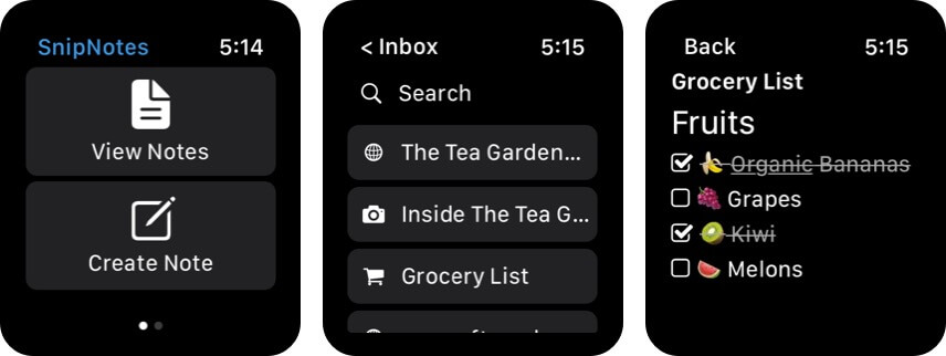 SnipNotes Apple Watch App Screenshot