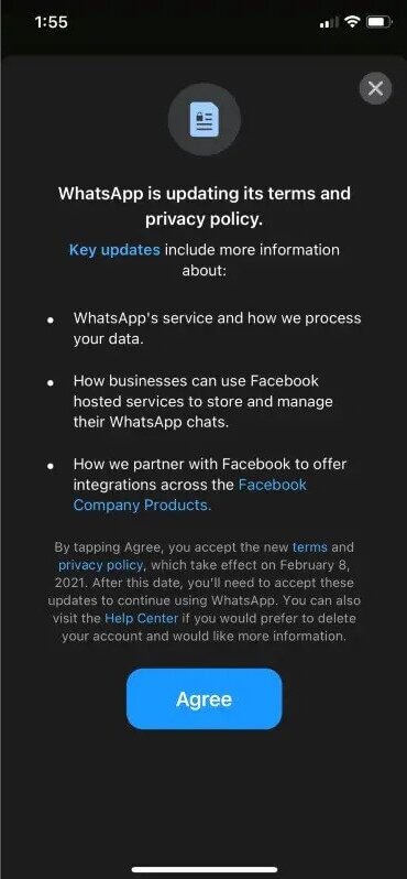 Agree WhatsApp privacy policy Terms and conditions