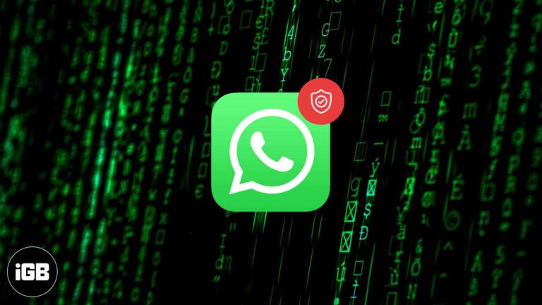 WhatsApp new privacy policy 2021: All your questions answered
