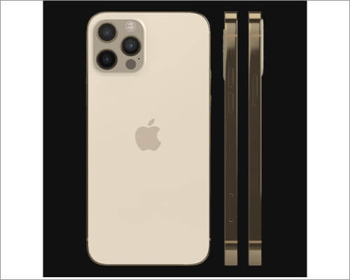 GadgetShieldz iPhone 12 Pro Max Skin