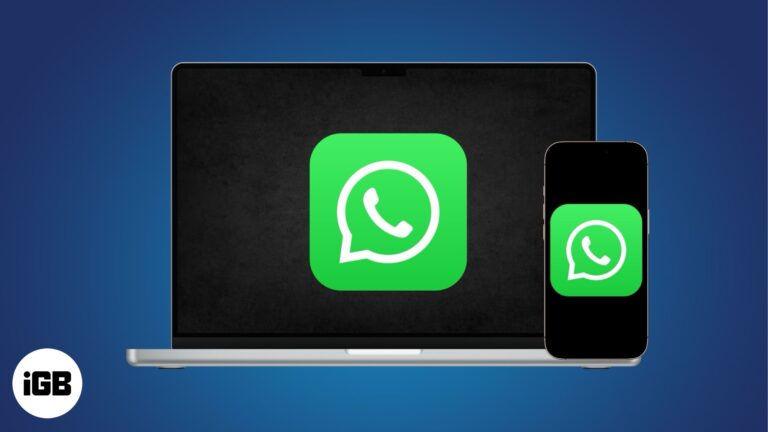Make Audio and Video WhatsApp Calls on Your iPhone and Mac.