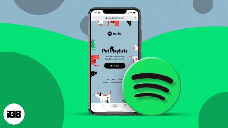 How to make a pet playlist on Spotify for dogs, cats, more