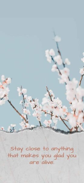 Best Motivational iPhone Wallpapers to Download – iGeeksBlog Inspirational quotes iphone wallpaper 14 scaled 1