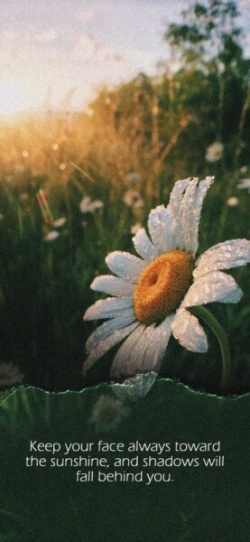 Best Motivational iPhone Wallpapers to Download – iGeeksBlog Inspiring quotes iphone wallpaper 6 scaled 1