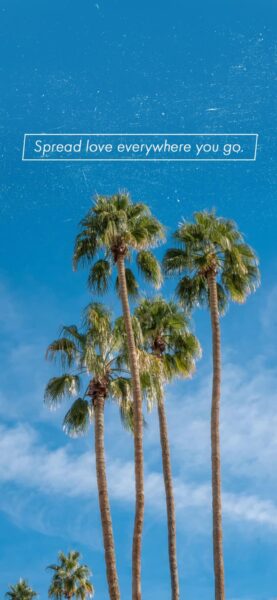 Best Motivational iPhone Wallpapers to Download – iGeeksBlog Positive quotes iphone wallpaper 3 scaled 1