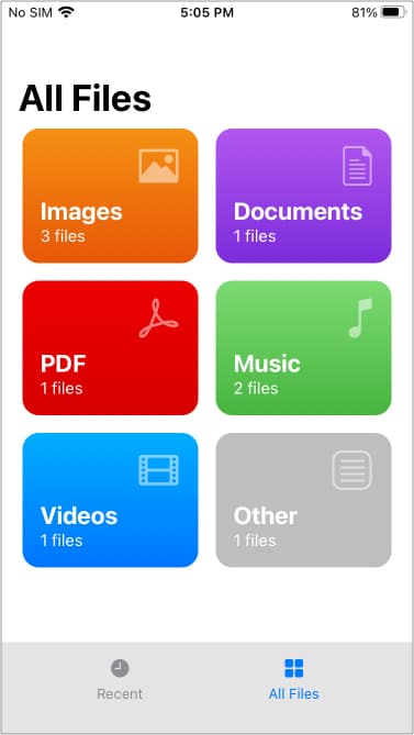 WALTR PRO for Mac Convert and transfer any file to an iPhone Files by WALTR app running on iPhone