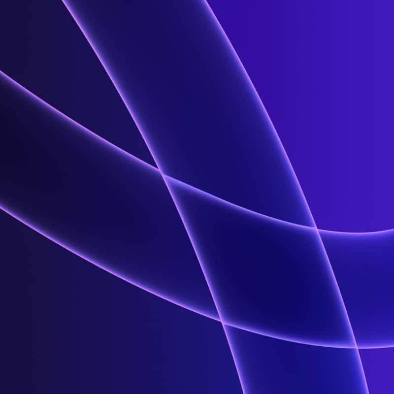 hello Purple 2 dragged