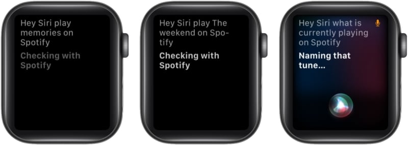 Use Siri with Spotify on Apple Watch