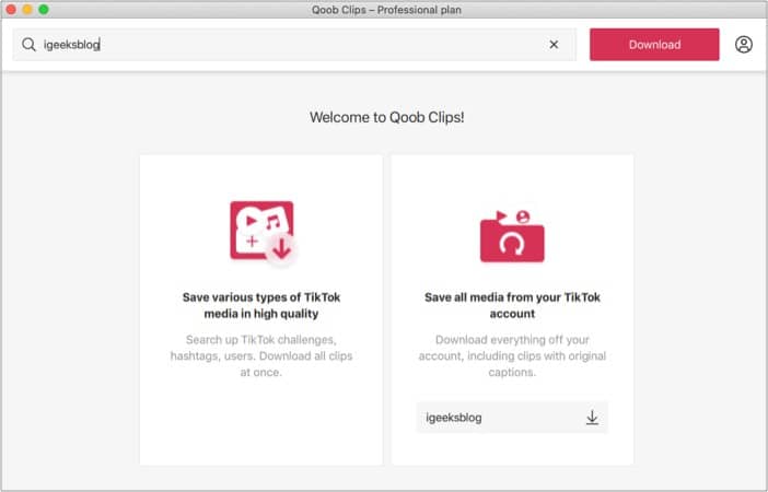 Download all videos of TikTok account using Qoob Clips