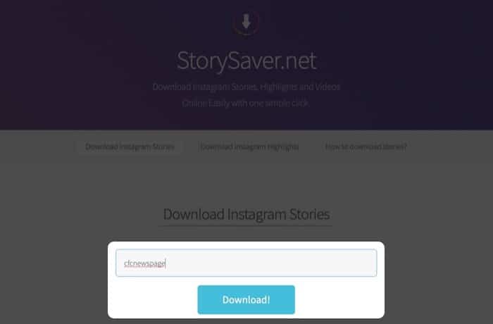 Drücken Sie Download auf StorySaver.net in einem Browser