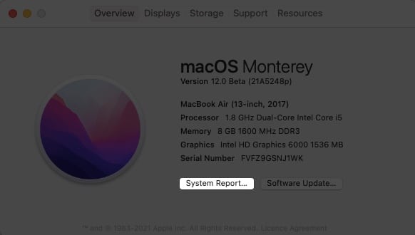 Click on System Information:Report on Mac