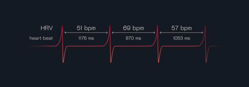 HRV and heartbeats Welltory iPhone app