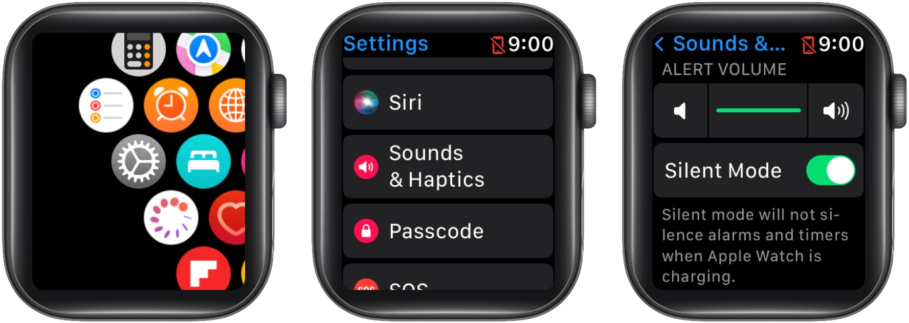 Toggle ON Silent Mode on Apple Watch