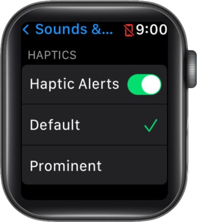 Turn ON Haptic Alerts on Apple Watch