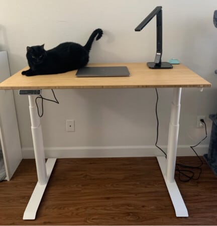 Kana Pro Bamboo Standing Desk   Review   Giveaway - 69