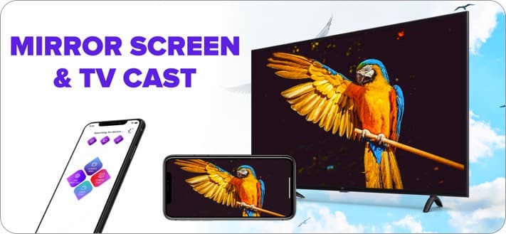 Screen Mirroring - TV Cast iPhone and iPad App Screenshot