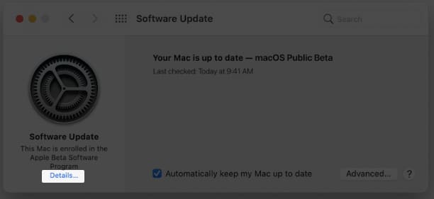 Select Details option from Mac's Settings