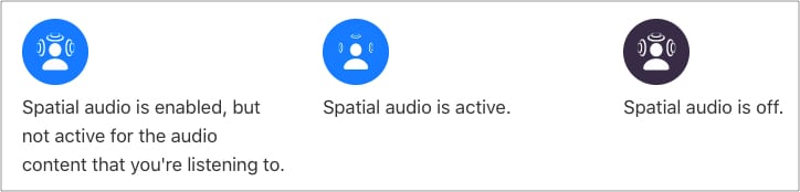 AirPods Pro Spatial Audio symbol meaning