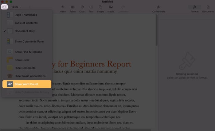 Sehen Sie sich die Wortanzahl in der Pages-App auf dem Mac an