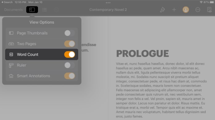 Turn on Word Count toggle in iPad Pages app