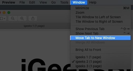 Click the Window menu and select Move Tab to New Window on Mac