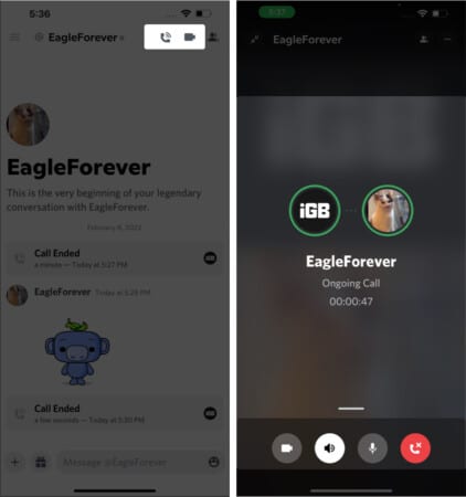 How to voice:video chat with friends