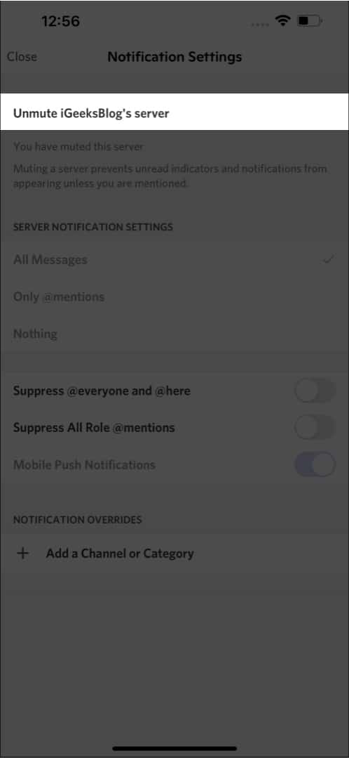 Unmute the Discord Server on iPhone