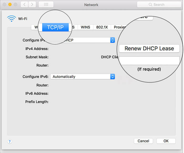 Select Renew DHCP Lease Under TCP:IP Section in Mac Network