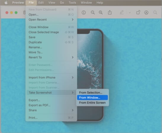 Take screenshot via preview app on Mac