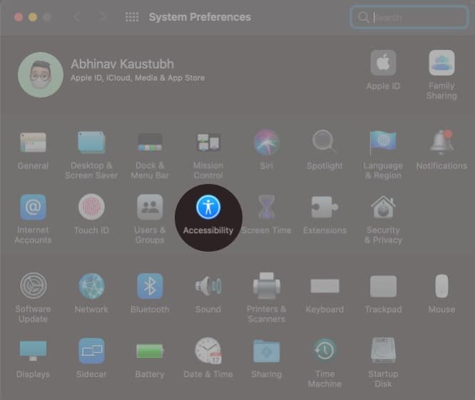 Click Accessibility on Mac's Settings