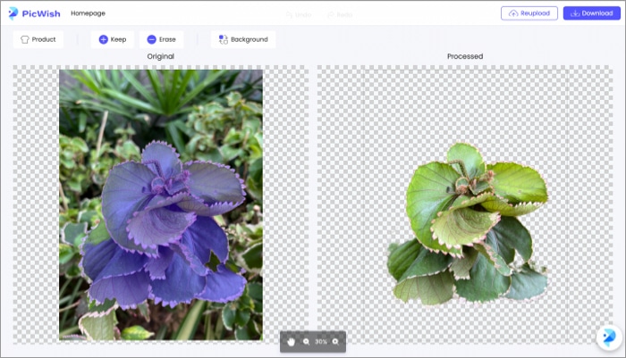 How to remove background from any image with picwish How to remove background from any image with PicWIsh