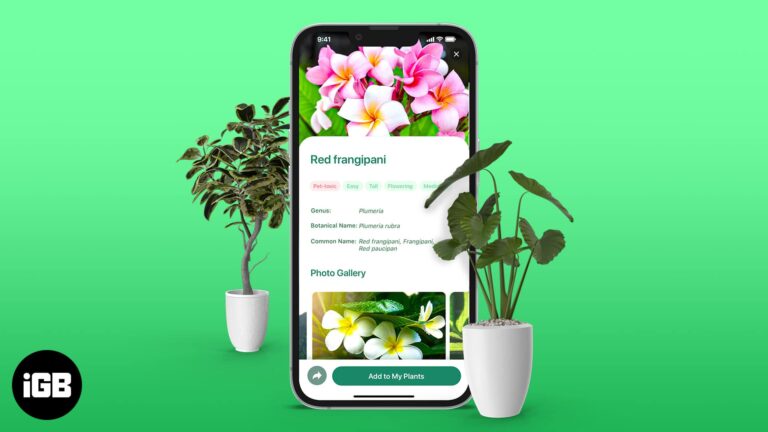 Best plant identifier apps for iPhone in 2024