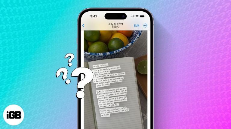 How to use Live Text in a video on iPhone and iPad