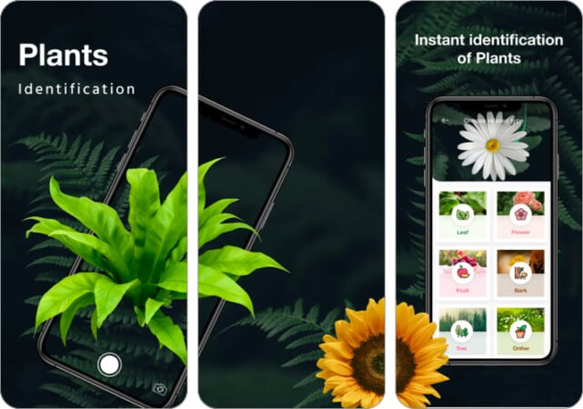 LeafSnap plant identification app for iPhone